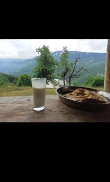 Camp Apartmani Tara