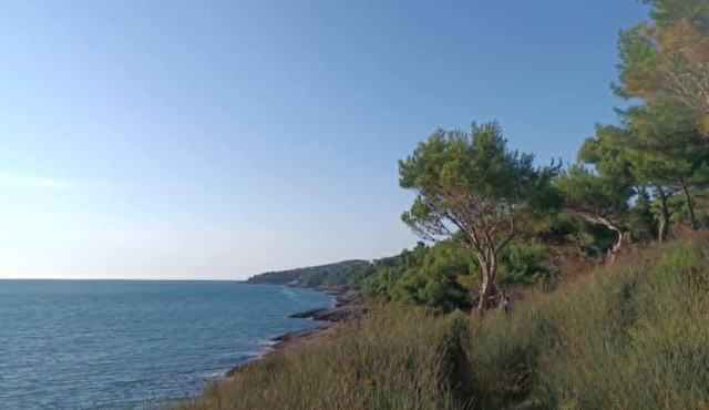 Charming 2-bedroom apartment with WiFi, AC in enchanting Bigova