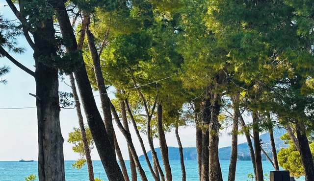 Charming apartment with WiFi, AC in fabulous Bar