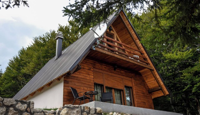 Charming Cabin Steps from Black Lake – Surrounded by Nature