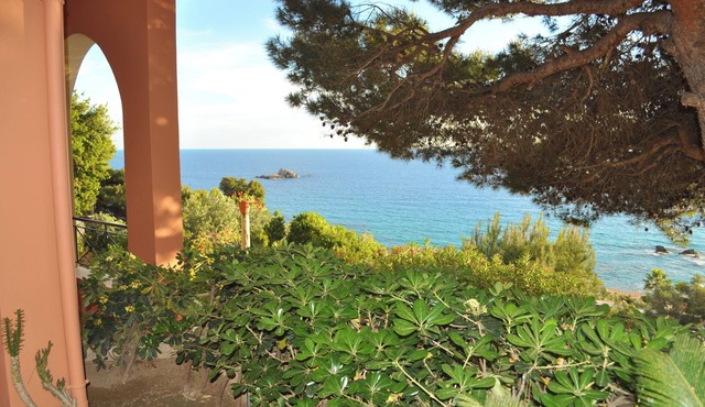 Charming Studio Apartments With Swimming Pool Near Pelekas Beach in Corfu