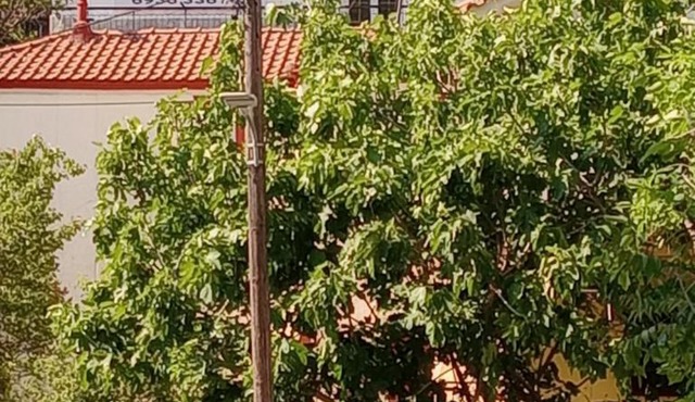 Christos IIII