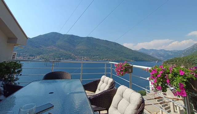 Cozy beachfront apartment with amazing views and beautiful scenery!