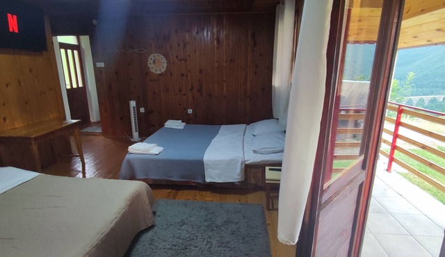 Cozy1-bedroom apartment in enjoyable view of the Tara Bridge with WiFi,fireplace