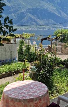 Cute studio with garden and terrace,by the sea