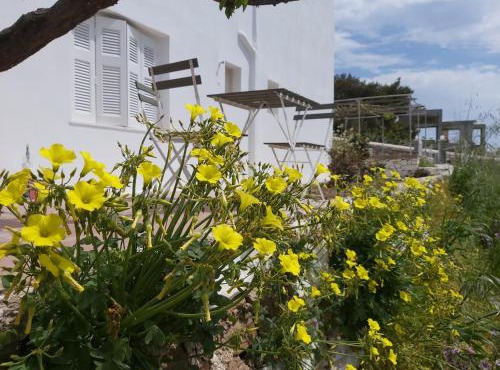Dandelion Paros Apartments I-II