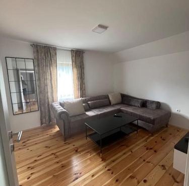 David apartment