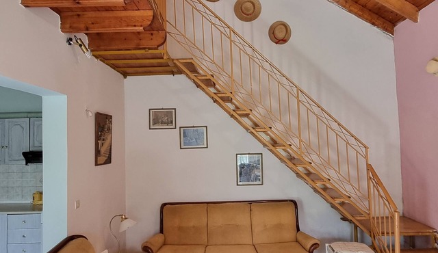 Detached Sunny House