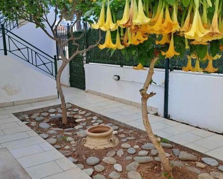 Dimitris place near Athens airport in Koropi
