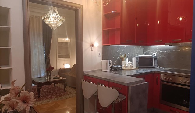 Elegant Apartment