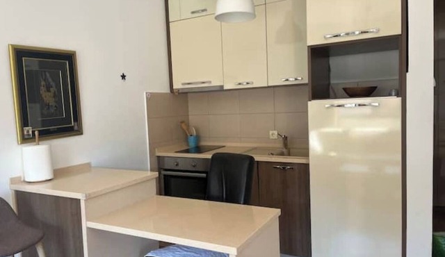 Elegant Mega Apartment in the Heart of the City