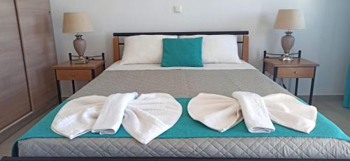 Evilion Donoussa Studios in Donoussa