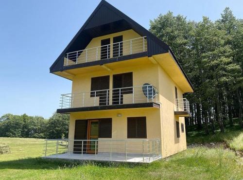 Family house, Savin kuk