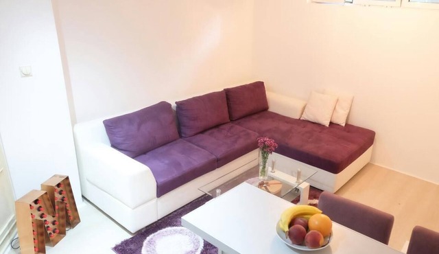 Friendly apartment close to city center