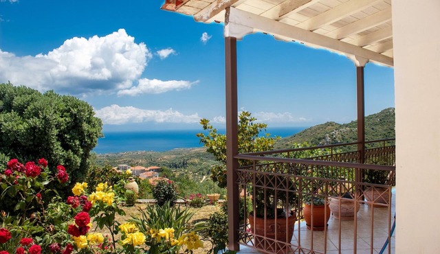 George's Panoramic View