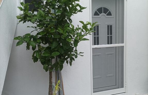 GEORGECHRISTI HOUSE