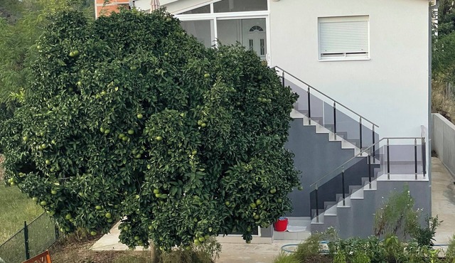 Grapefruit house in a quiet, natural location close to the beach