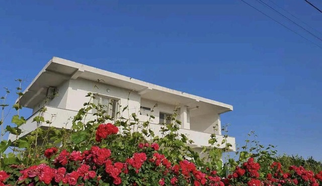 Green Villa
