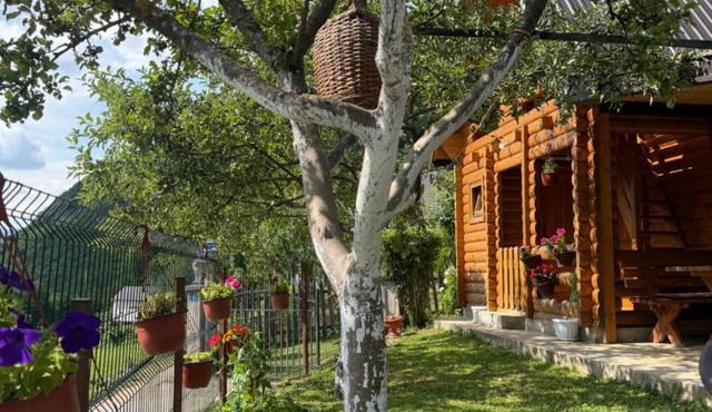 Guest House Kollata