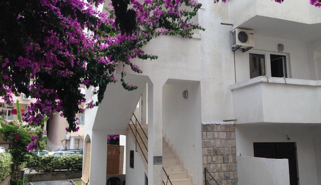 Guest House Violet