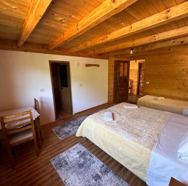Guesthouse Bjeshka-12 in Shkodër