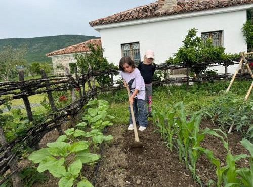 Guesthouse Vitoria - Mrizi i Zanave in Fishtë