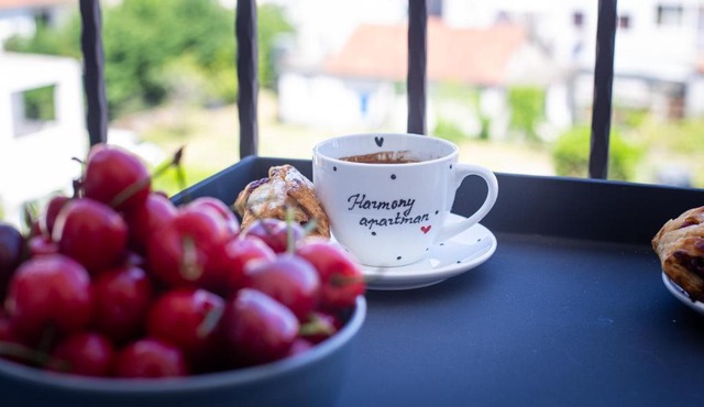 Harmony Apartman in Budva