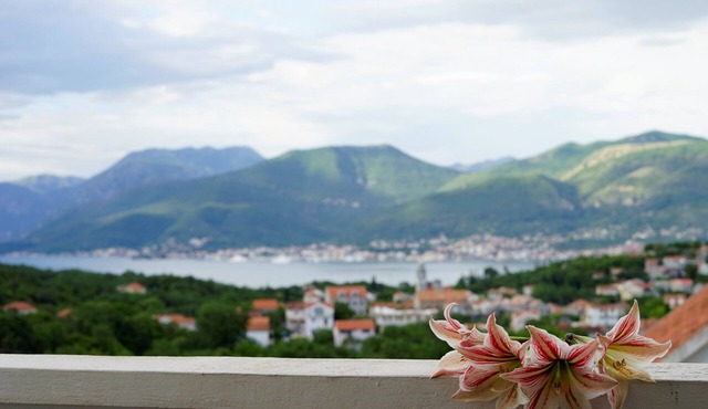 Holiday apartment Boka with the breathtaking seaview Montenegro