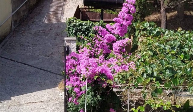 Holiday apartment Igalo for 1 - 4 persons with 1 bedroom - Holiday apartment