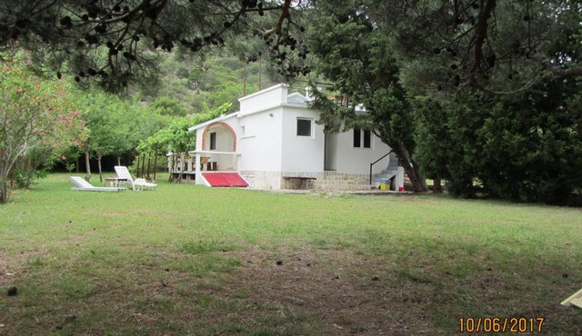 Holiday Home Idyllic Cottage