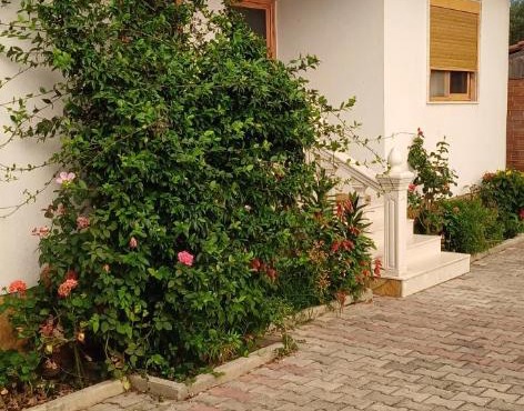 Hotel Lepenica in Vlorë