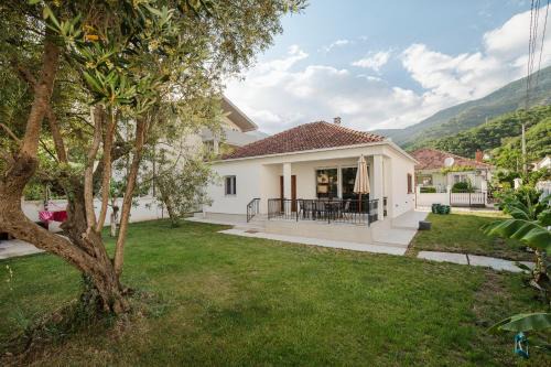 House Olive Tree