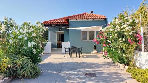 Jas Wave House