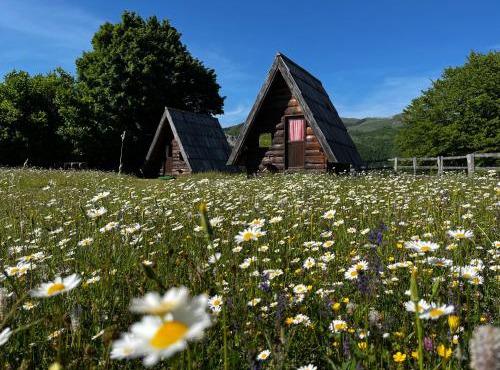 Jatak Cabins and Camping