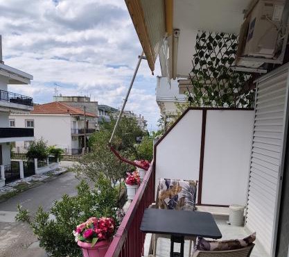 Lidia home