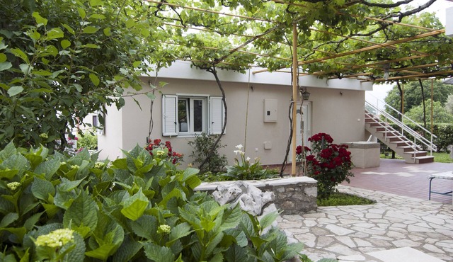 Little Nautilus: The best positioned apartment in Boka Bay