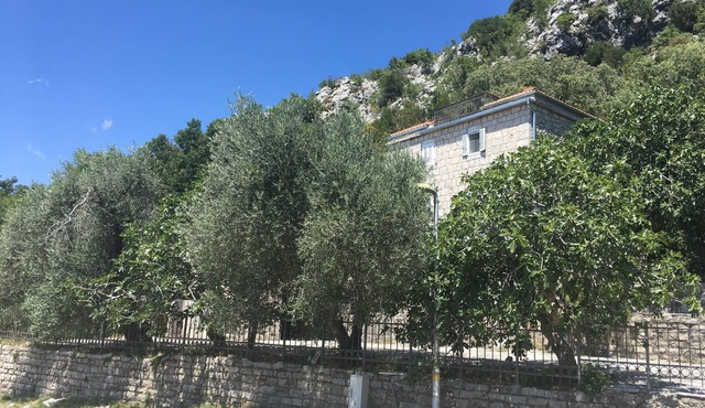 Lovely room (each 80€ for 2 persons) with bathroom (+10€ per day for kitchen)