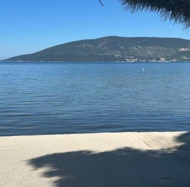 Lovor apartmani