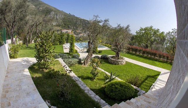 Luxury villa Virginia with big yard and pool