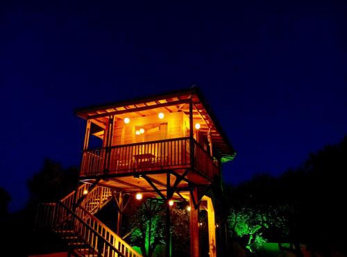 Magic treehouse