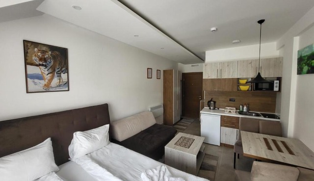 Milmari Vesela Apartment P71