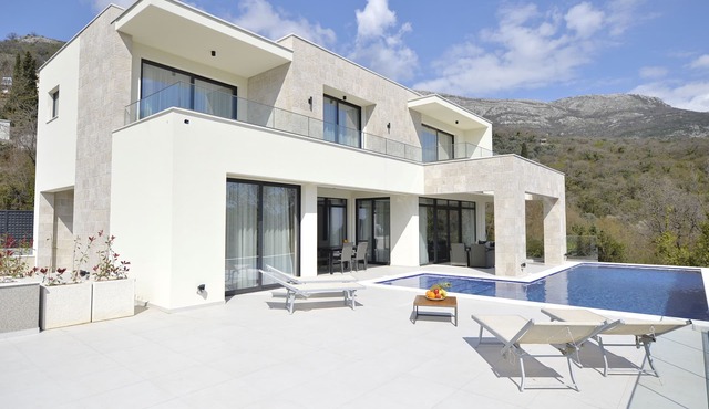 Modern villa with sea view