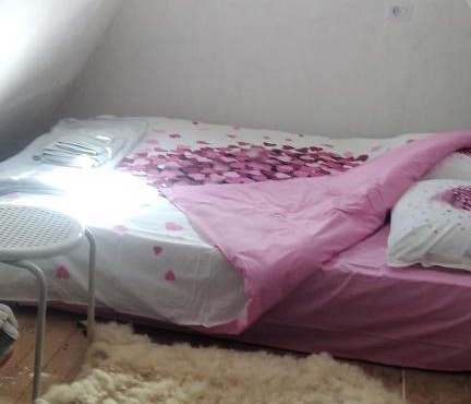 Moj raj