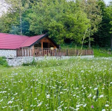Montenegro Rustic House II