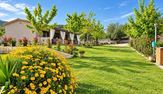 Morfo Luxury Living in Paralia Sikias
