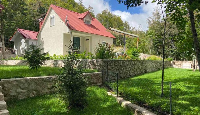 Mountain house Ivanova Korita