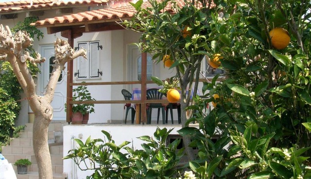 NIKOS in Zacharo