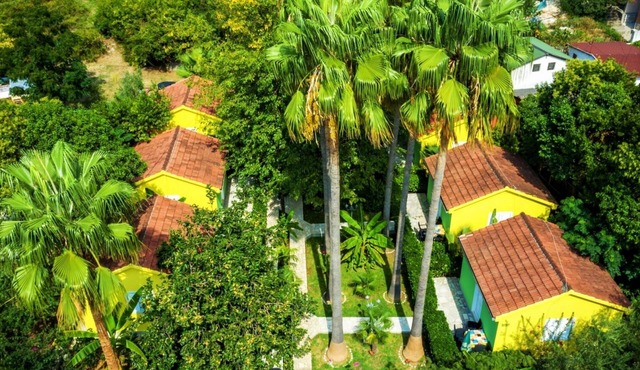 Nirvana Apartments & Auto Camp - Studio Apartment With Terrace