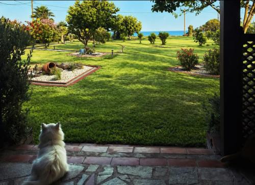 Nisaki Seafront Villa