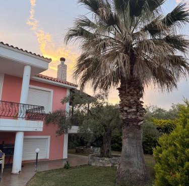 Olea House